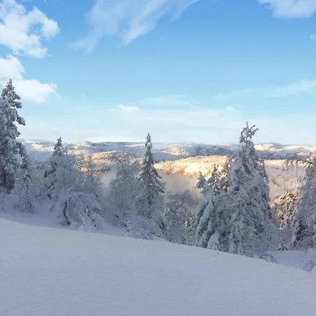 Awesome In With Sauna * Drangedal